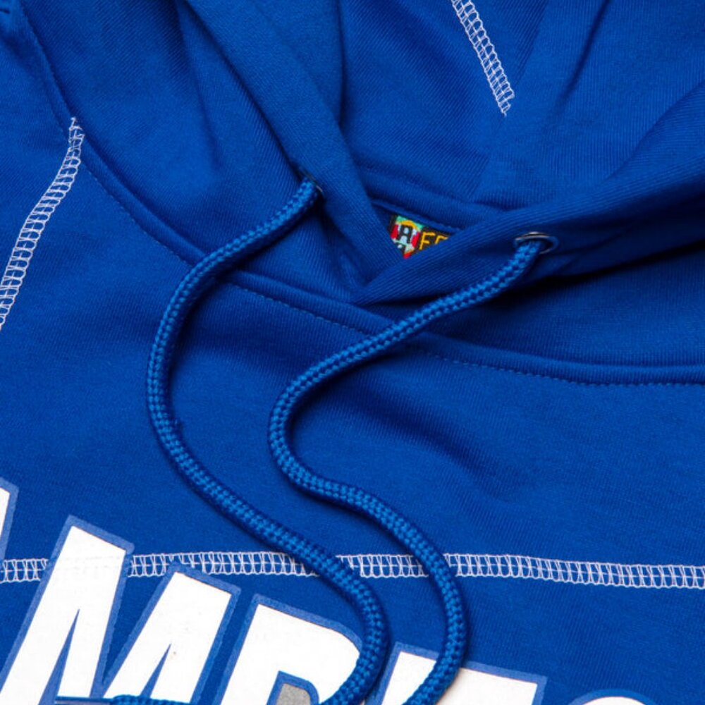 Hampton University Hoodie Retro HBCU Pride AACA Sweatshirt Alumni Gear - Picture 5 of 9